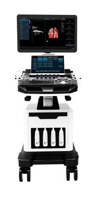 escáner del ultrasonido de la carretilla del ultrasonido de Doppler del color de 3D 4D 5D para OB GYN